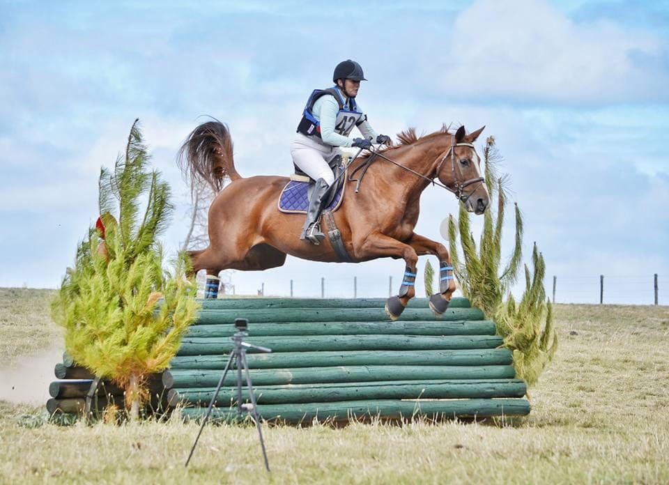 0351: Fiona Heysen LC - It Is The Trust Element That I Find Quite Extraordinary About Horses cover art