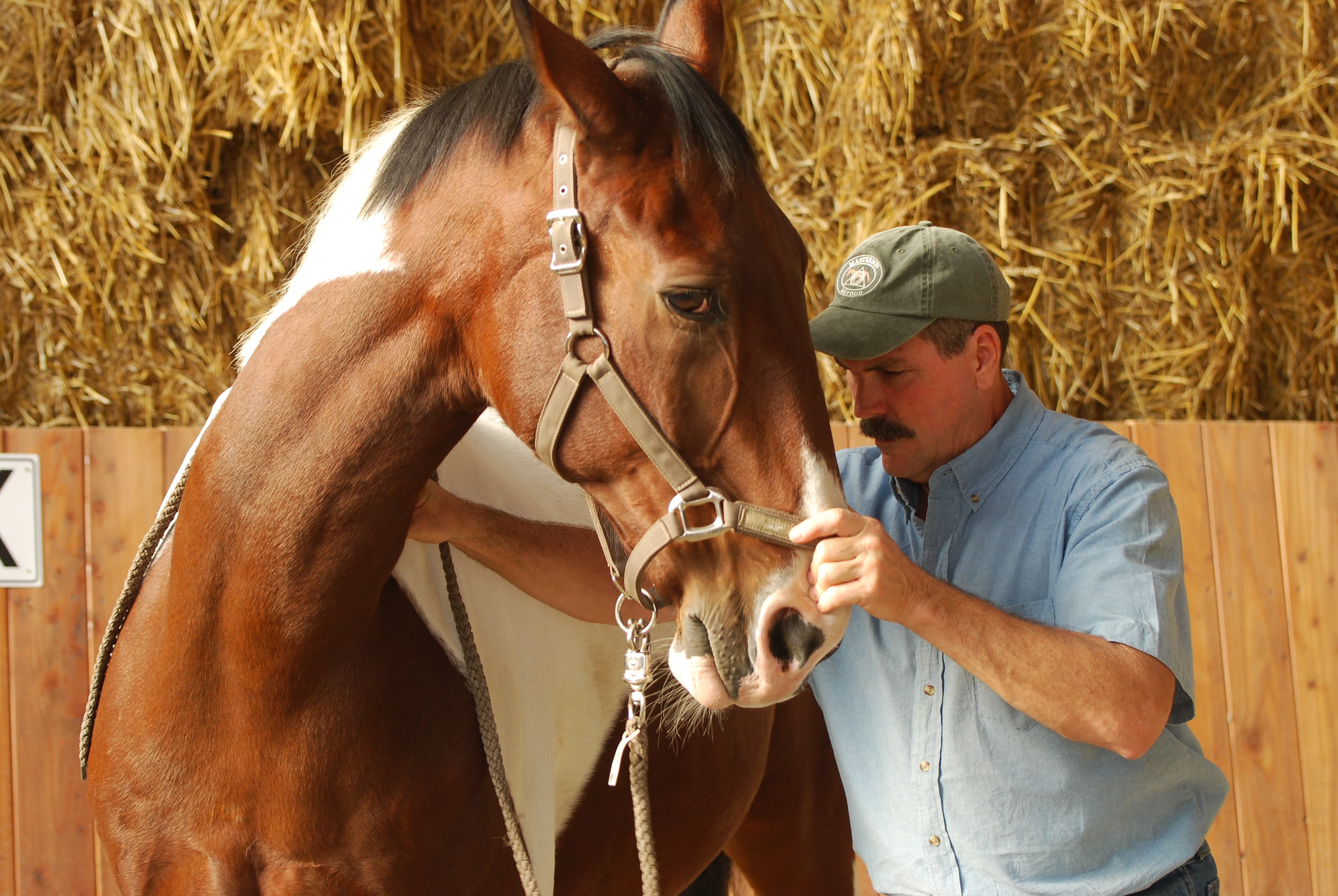 0813: Jim Masterson 2 - Encouraging Humans to Listen to Horses Using the Masterson Method with Jim Masterson cover art