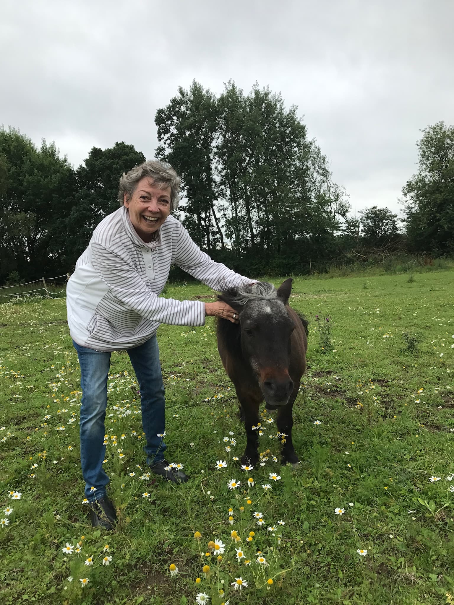 0436: Gisela Nilsson-Harding LC - I Call Horses Divine Mirrors.  They Reflect Back The Emotions You Put In.     If You Put In Love and Respect and Kindness and Curiosity, the Horse will Return That.    (Listeners' Choice) cover art