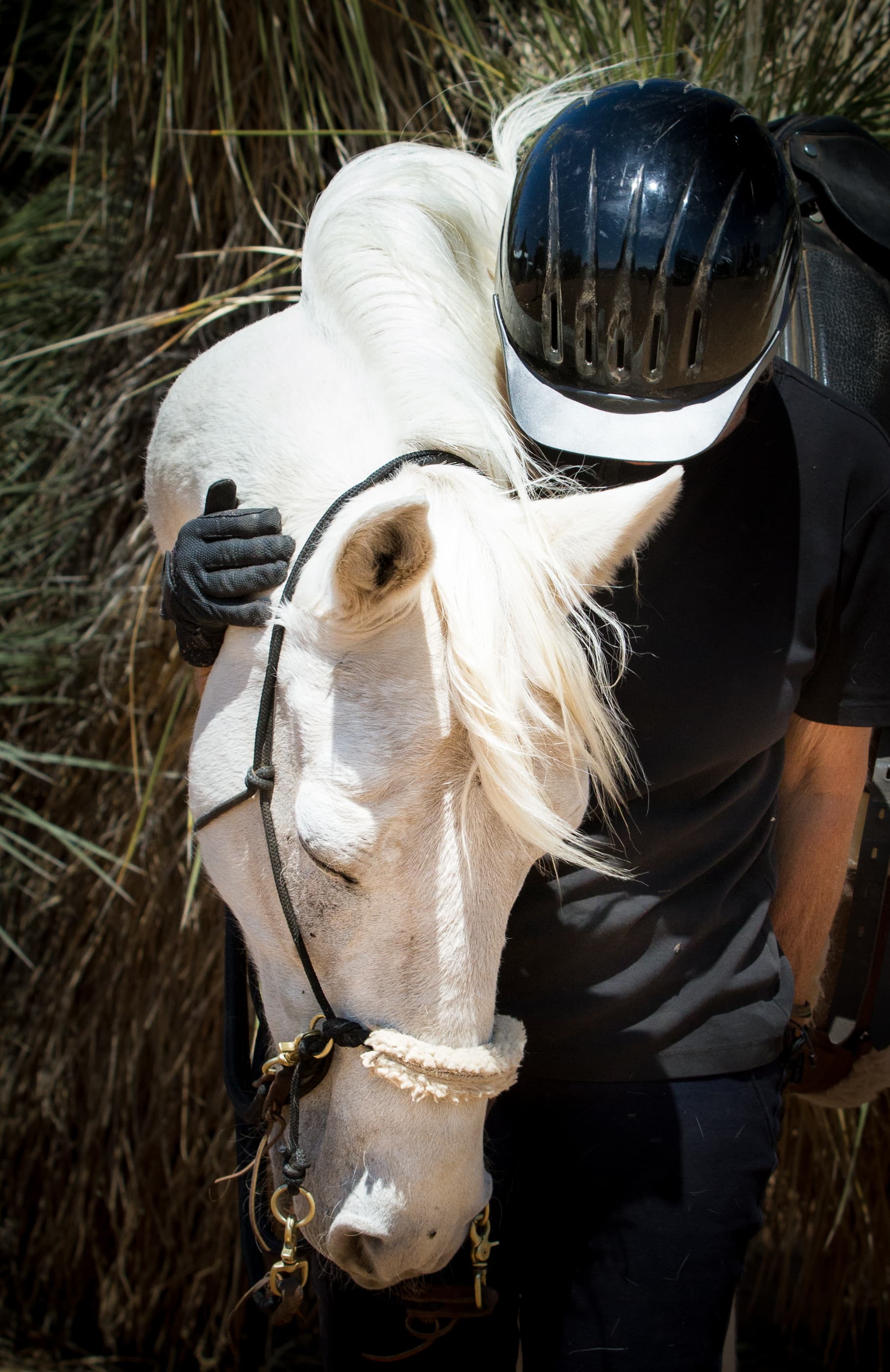 0496: Katharine Chrisley Schreiber - Dharmahorse Equine Sanctuary and Herbal Stable Yard cover art