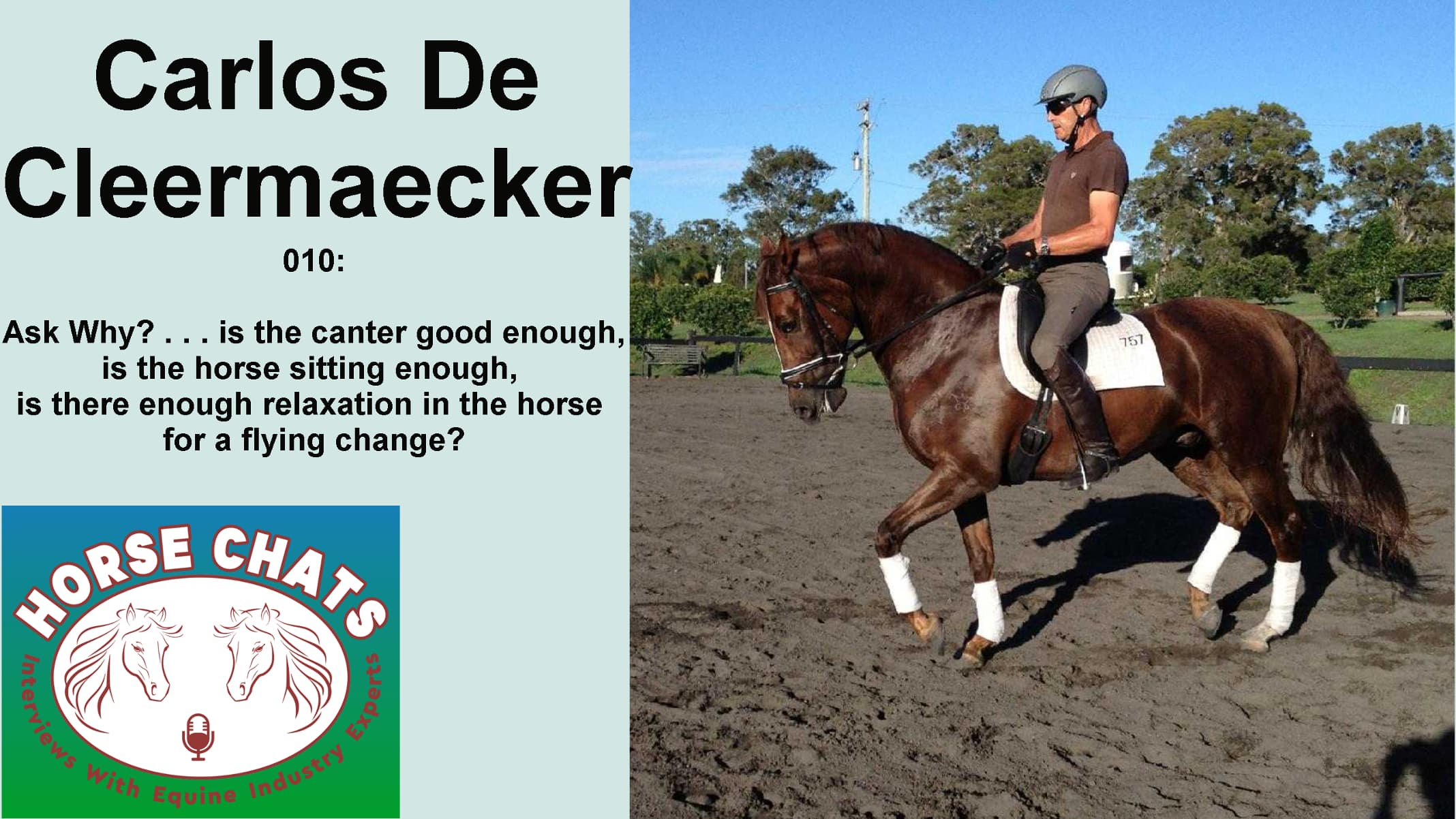 0010: Carlos De Cleermaecker - Ask Why? . . . is the canter good enough, is the horse sitting enough, is there enough relaxation in the horse for a flying change? cover art