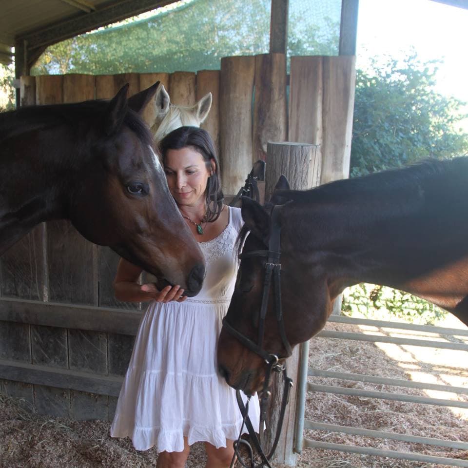 0377: Lisa Podosin 2 - Ten Steps To A Wonderful Relationship With Your Horse cover art