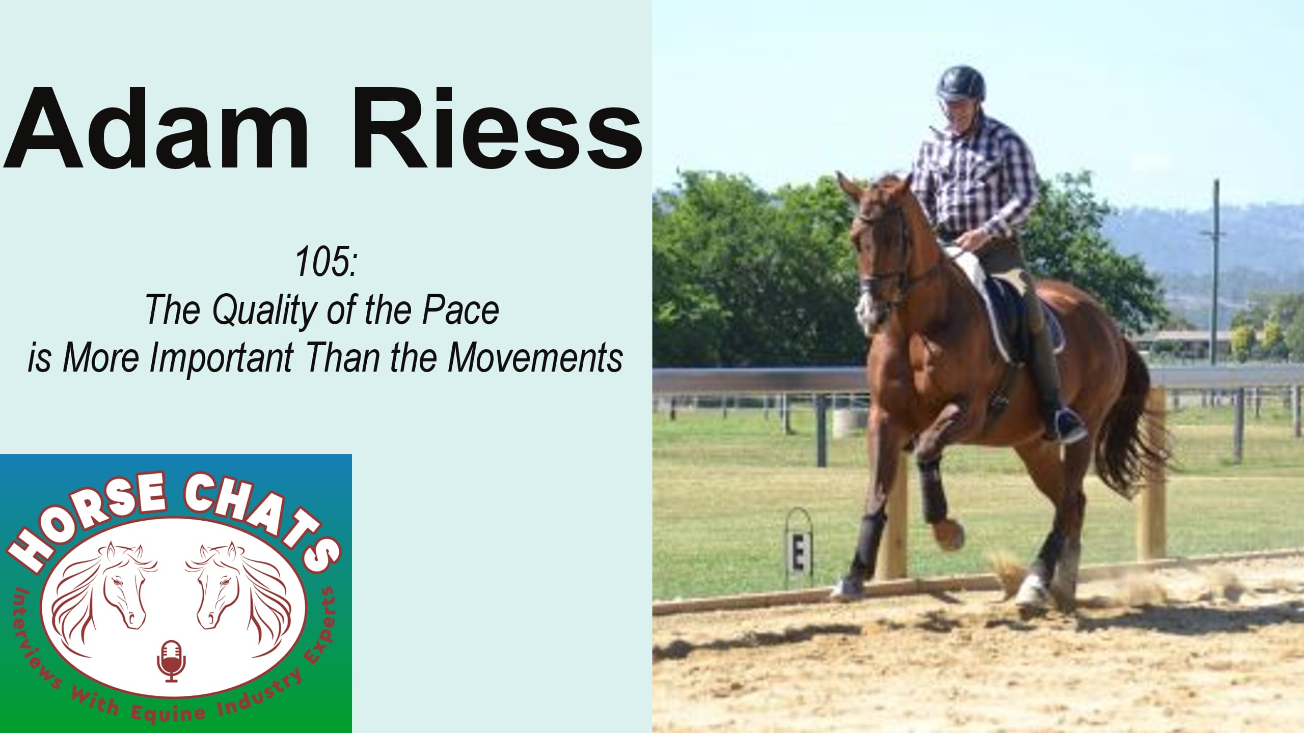 0105: Adam Riess - The Quality of the Pace is More Important Than the Movements cover art