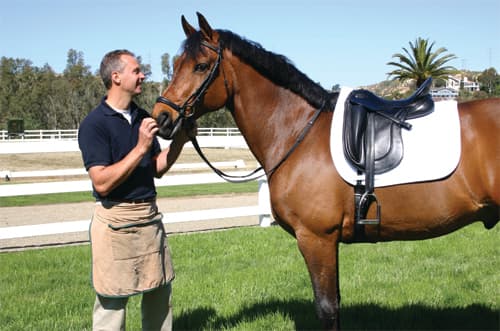 0876: Jochen Schleese 8 - How to Use Technology to Save Thousands on Saddle Fitting with Jochen Schleese cover art