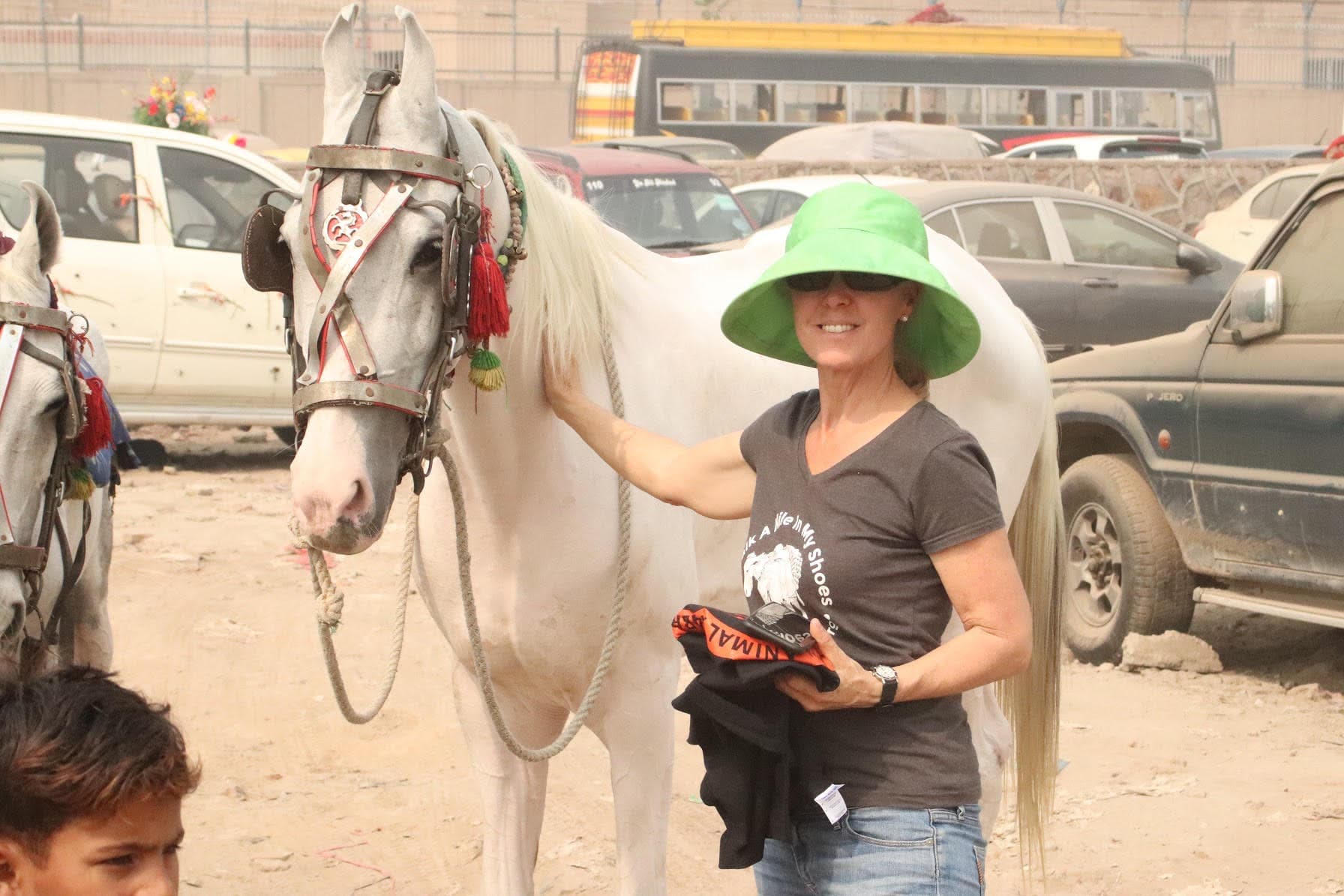 0703: Janet Thomas - "Ten Facts About Animal Aid Abroad and How They Help Improve Horse Welfare" cover art