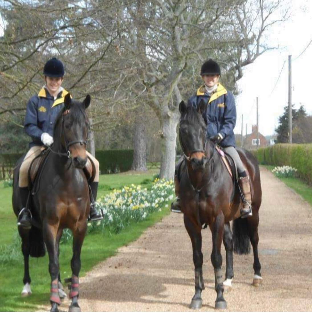 0827: Katie Kelly LC - FEI Pony Dressage Rider Teaching Children and Training Ponies (Listeners' Choice) cover art