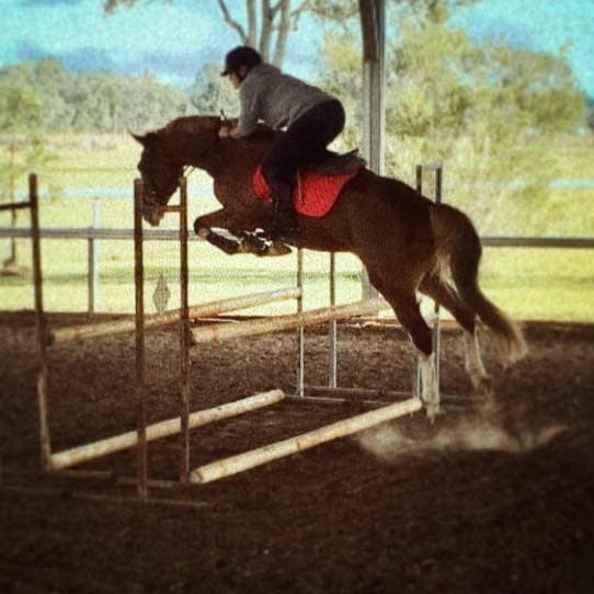 0842: Kyrie De Jong LC - Finding a Safe Zone With Horses, For Sufferers of Anxiety and Depression (Listeners' Choice) cover art