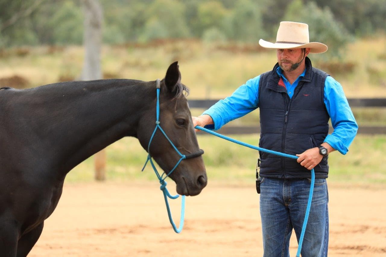 0891: Mark Langley 2 - Directing vs Driving to Reduce Anxiety cover art