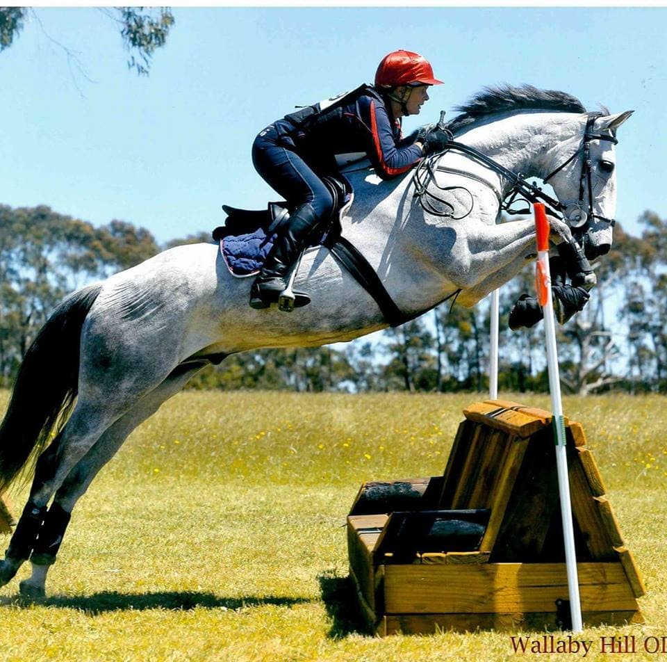 0464: Jo Hoole LC - Getting The Canter Right Is More Important Than Getting The Jumping Height Right (Listeners' Choice) cover art