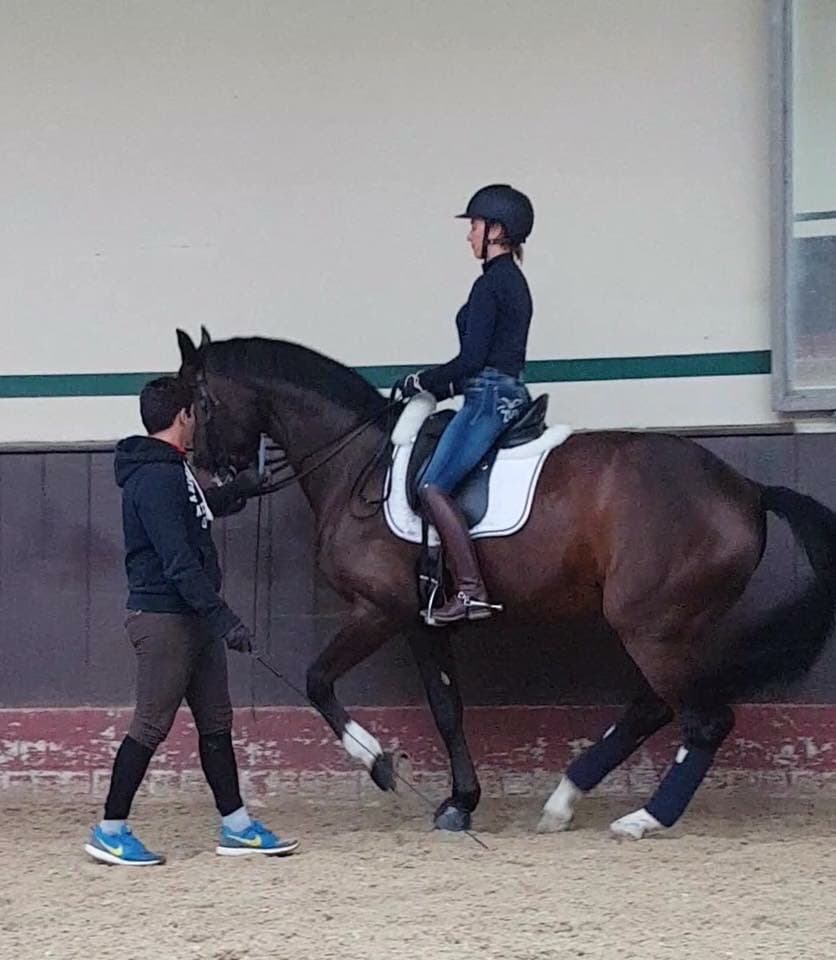 0608: Nicole Magoffin LC - Creating Harmony, Fluency and Elegance in Dressage from a Background in Classical Ballet (Listeners' Choice) cover art