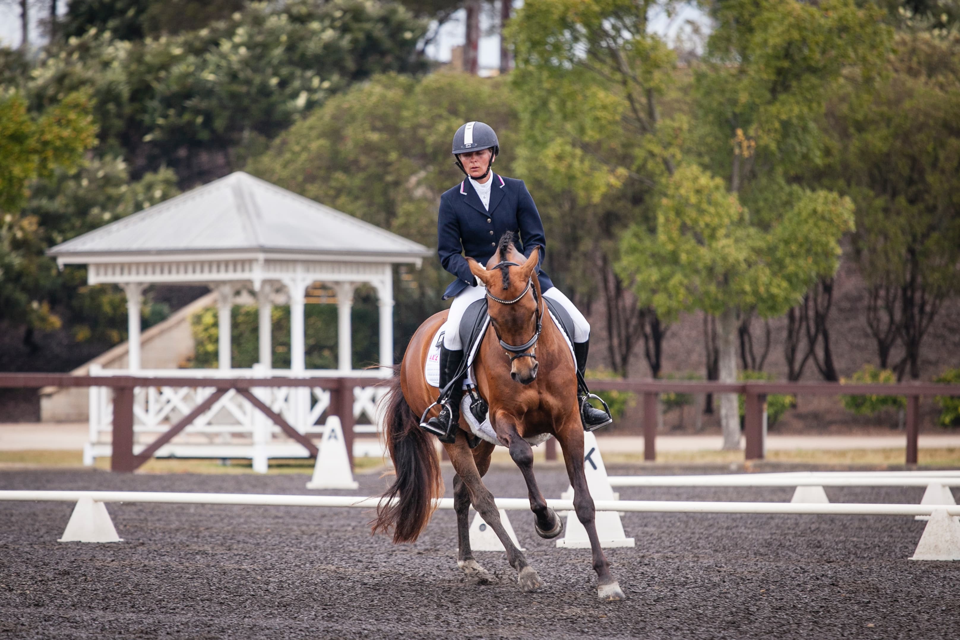 0165: Anne-Katrin Liebe - Achieving a Harmonic Dialog with Horses cover art