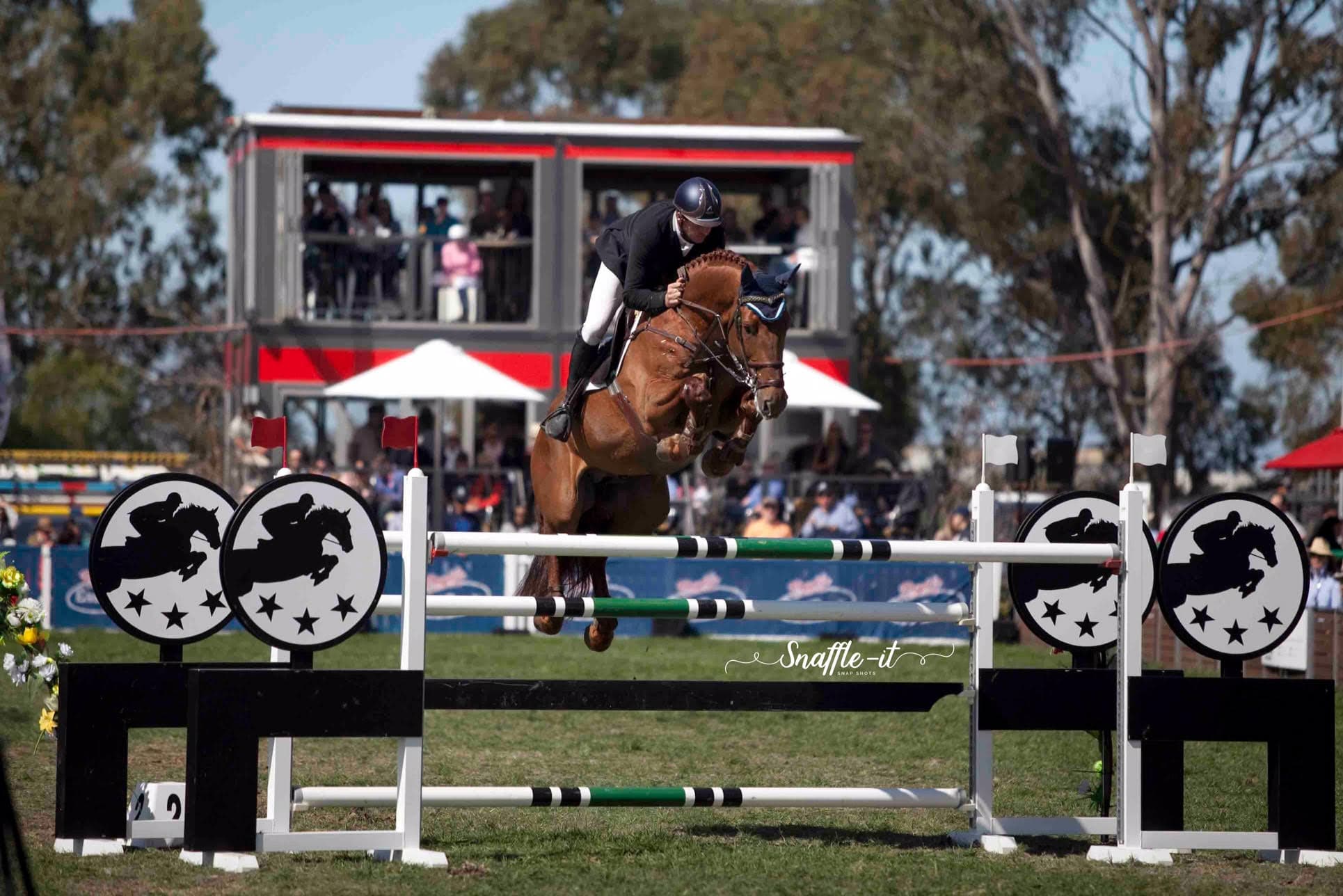 0310: Brook Dobbin LC - 20 Years of World Cup Showjumping and Looking Forward to the Next Competition cover art