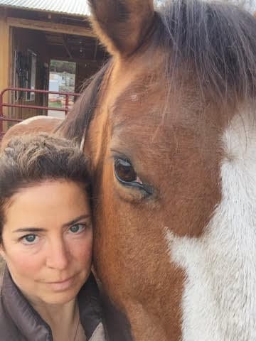 0906: Dr Allecia Maine - New research to improve horse behaviour with Dr Allecia Maine cover art