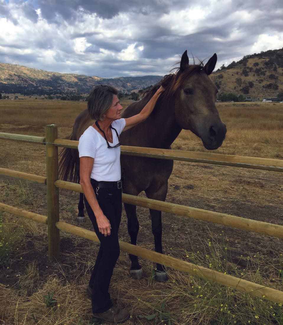 0595: Kathy Burns - SHLEP - Finding Healing on Horseback in the Lower 48 cover art