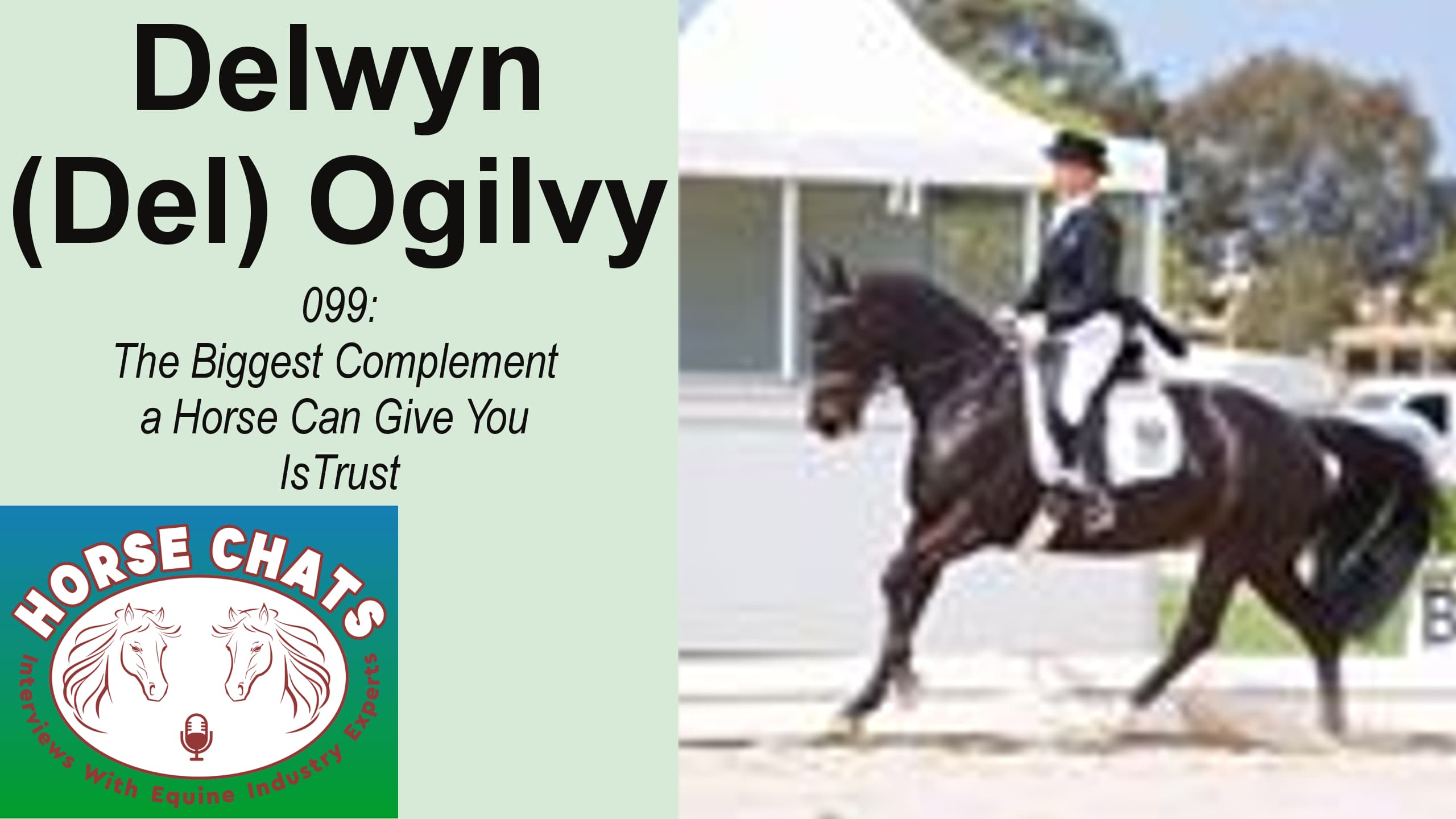 0099: Delwyn Ogilvy - The Biggest Complement a Horse Can Give You Is Trust cover art
