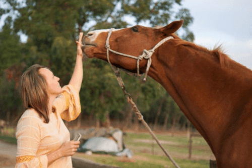 0542: Adele Edwards LC - Helping People Find a Deeper Connection and Understanding With Their Horse (Listeners' Choice) cover art