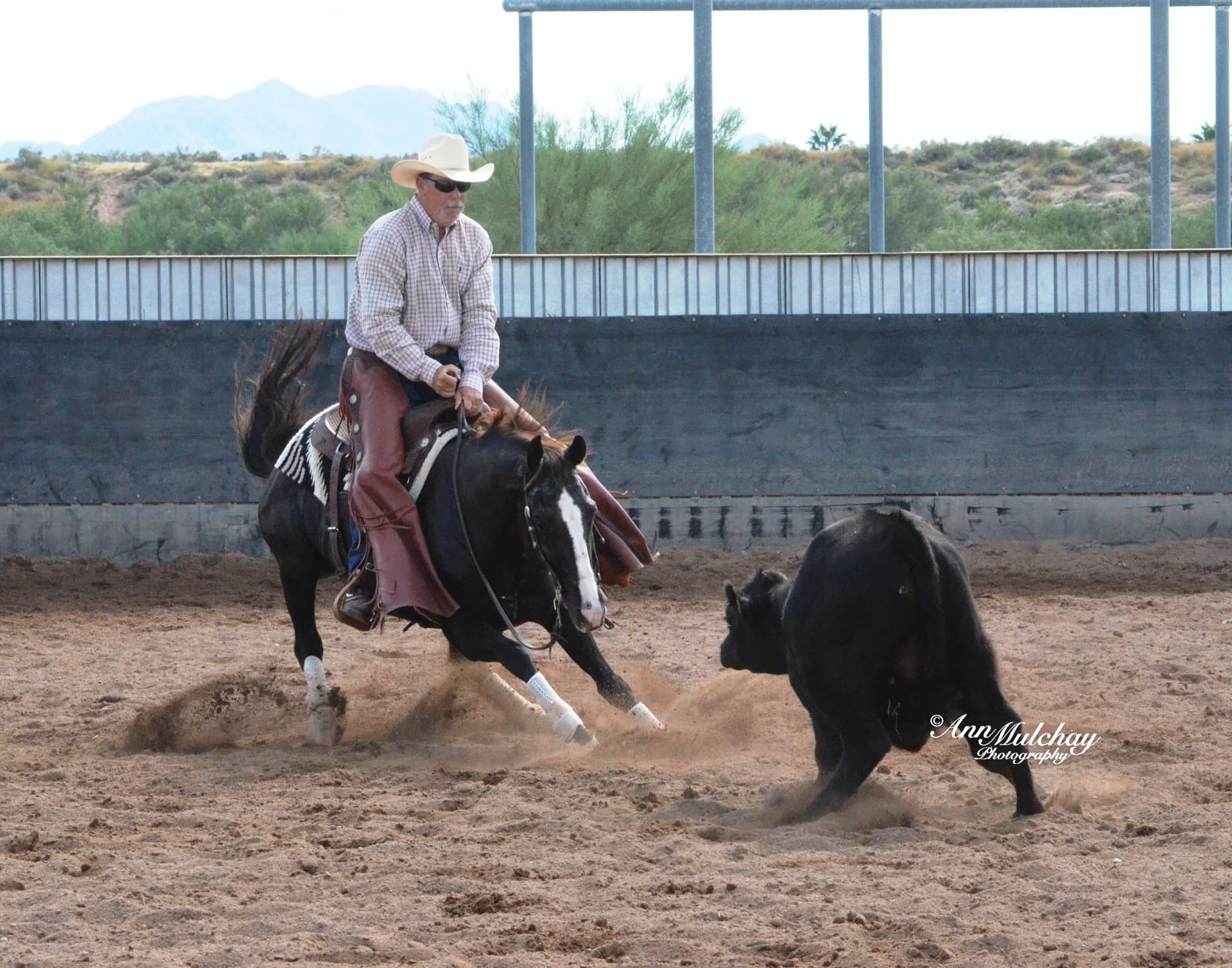 0622: Dr Richard Godbee -  Getting Rid of Old Wives Tales and Black Magic in Equine Nutrition cover art