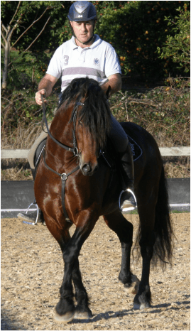 0422: Paul Cairns LC - Classical Dressage and Showjumping With a Strong Focus on Effective Execution and Elegance in Execution to Maximise Results (Listeners' Choice) cover art