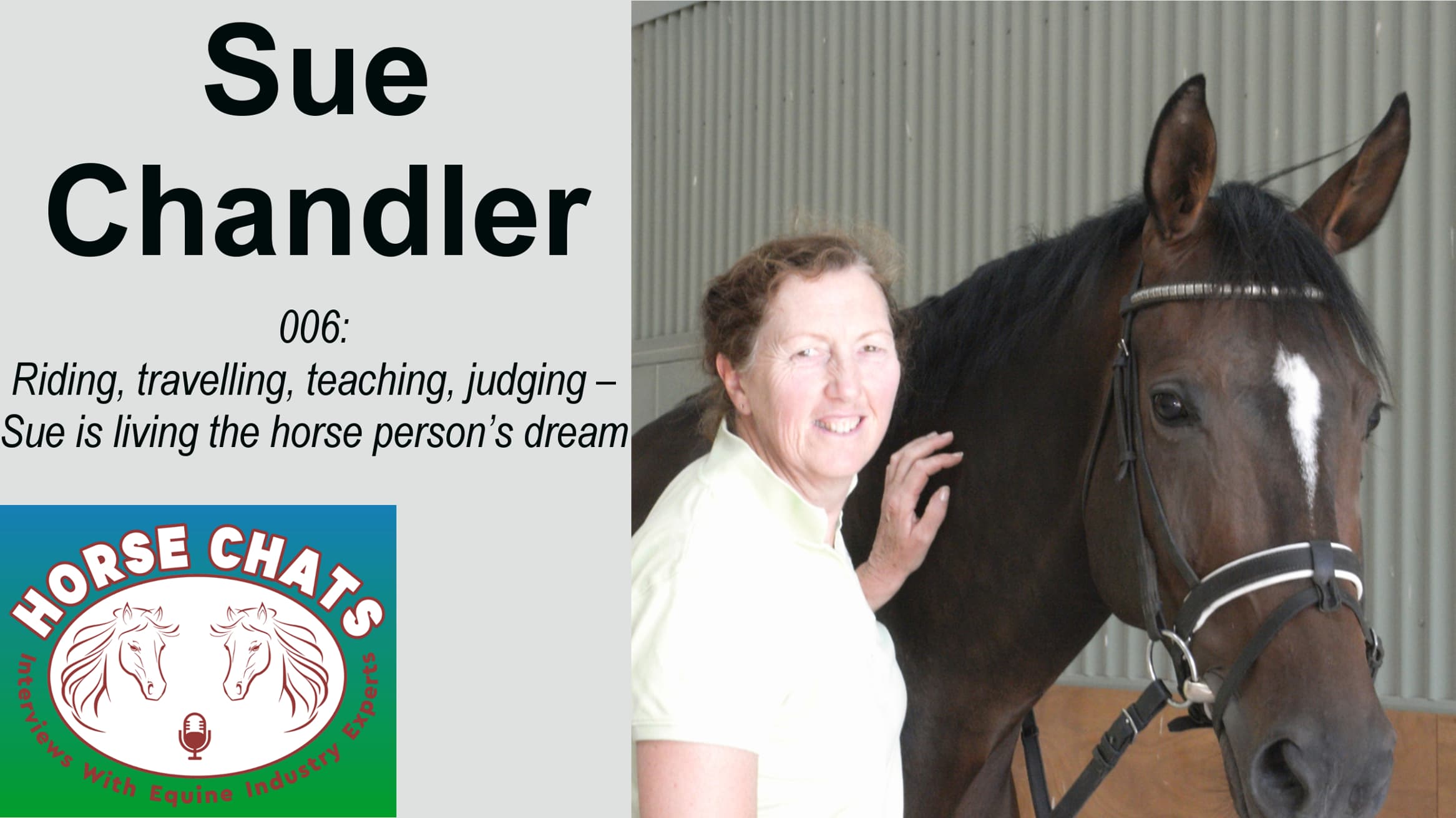 0006: Sue Chandler - Riding, travelling, teaching, judging - Sue is living the horse person's dream cover art