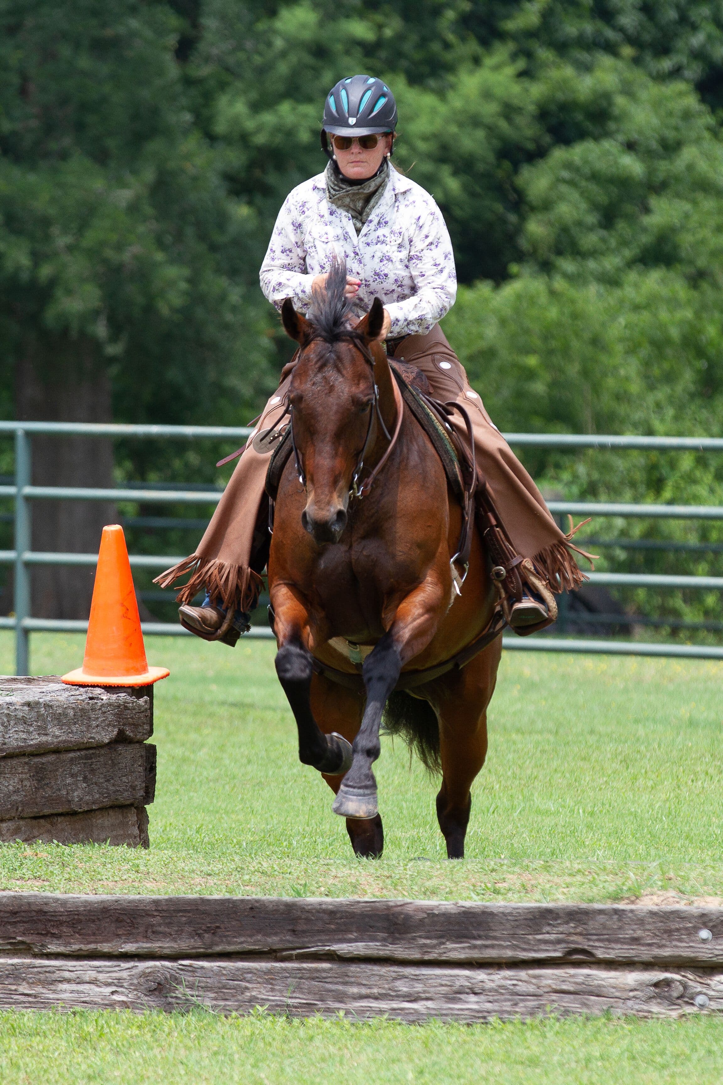 0579: Tarrin Warren 2 - "Ten Tips to Develop Your Working Equitation Horse" cover art