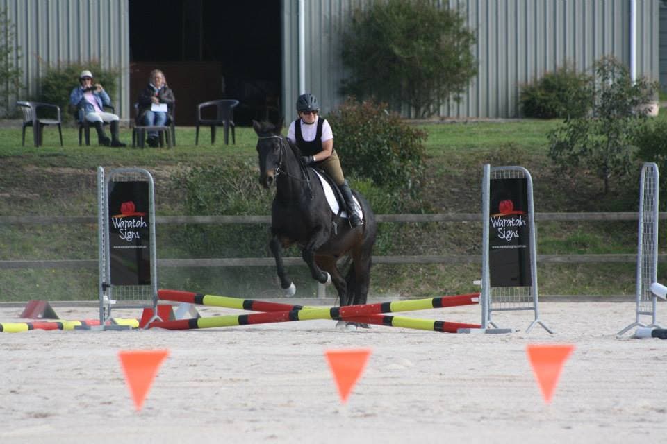 0397: Kerrie Bell - All Round Equine Professional - Massage, Bodywork, Coach and Saddlery Owner cover art