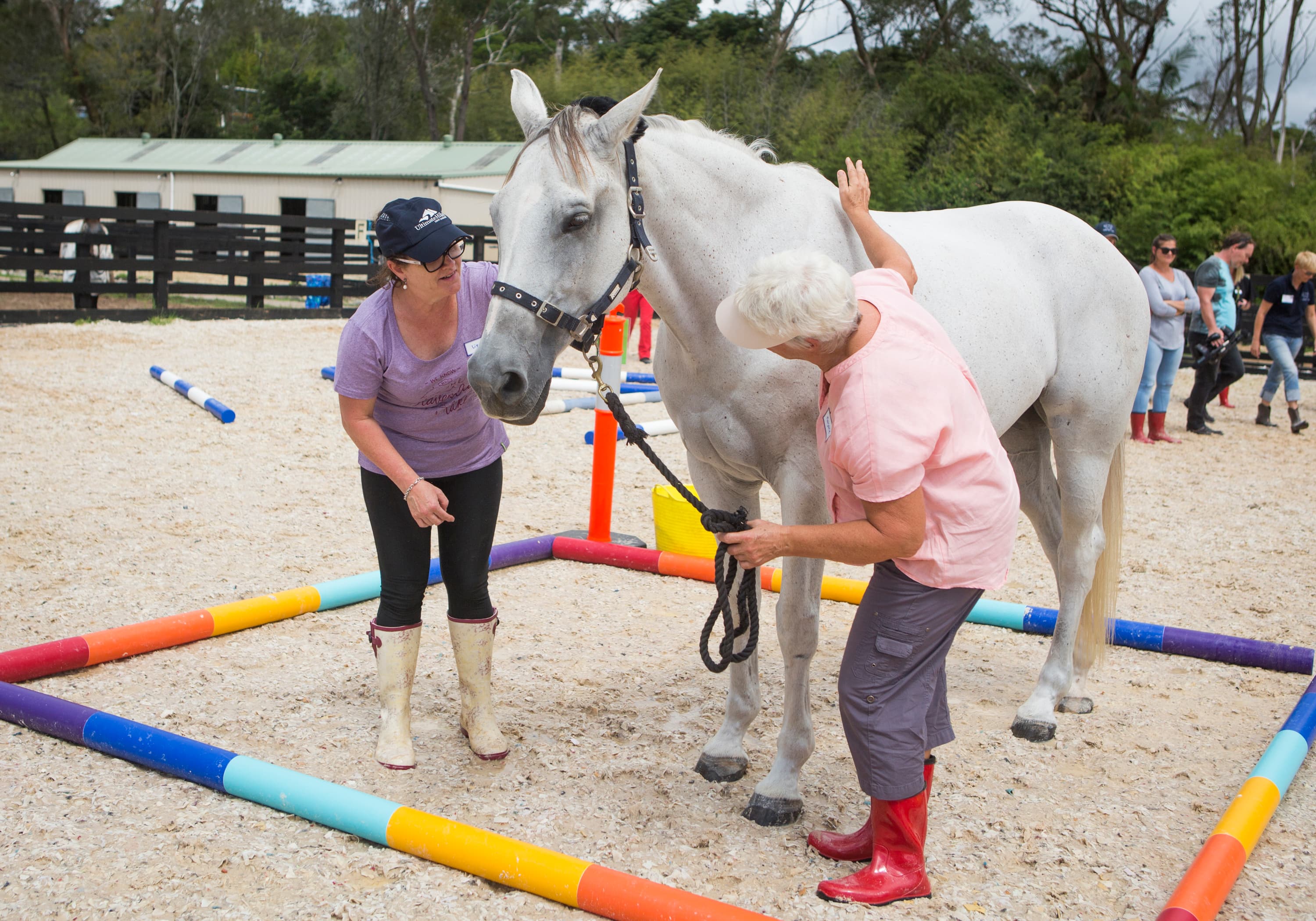 0854:  Jane Hemingway-Mohr LC - Developing Life Skills Through Equine Facilitated Learning (Listeners' Choice) cover art