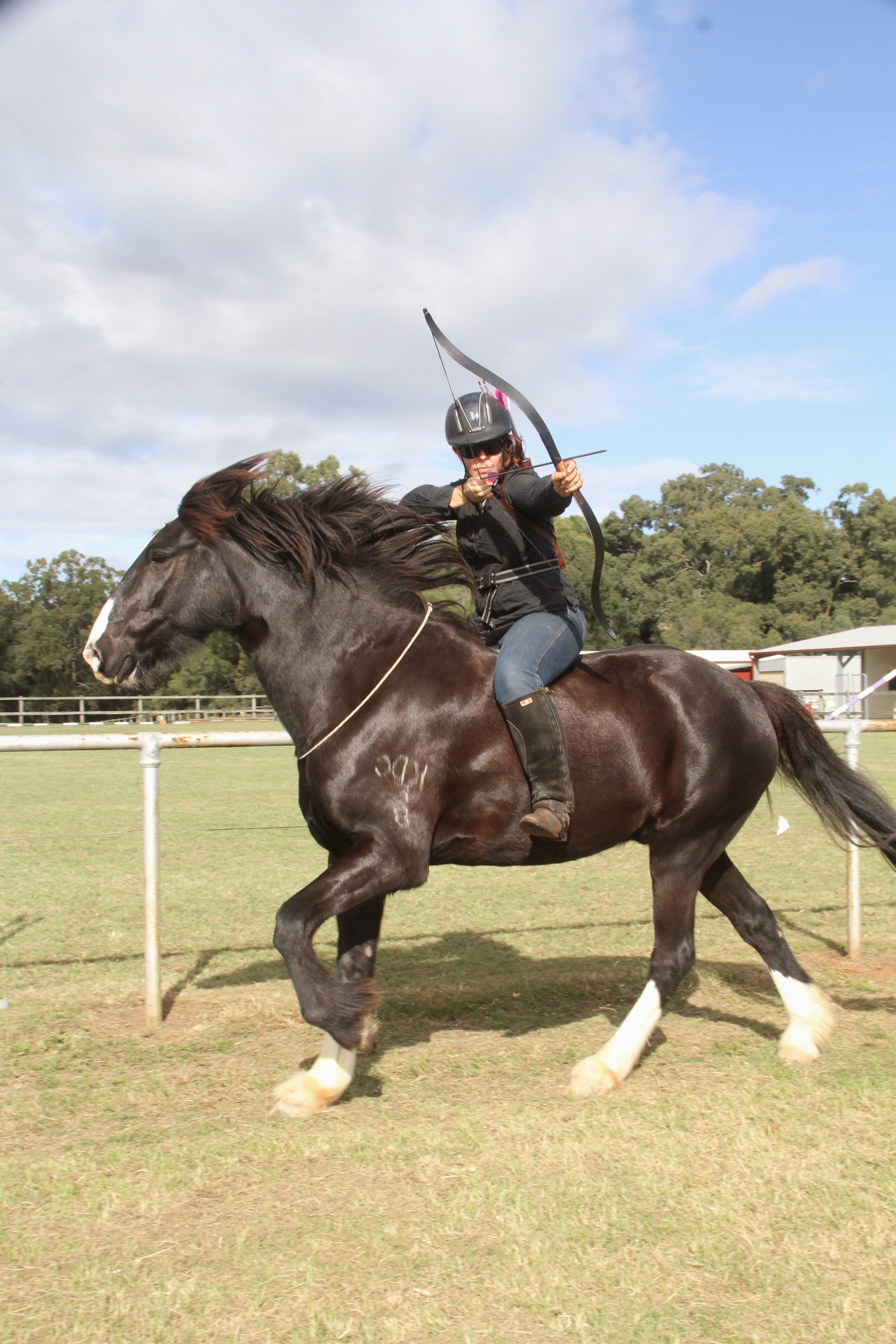 0663: Hayley Chambers - Teaching That Anyone Is Capable Of Learning Horse Archery cover art