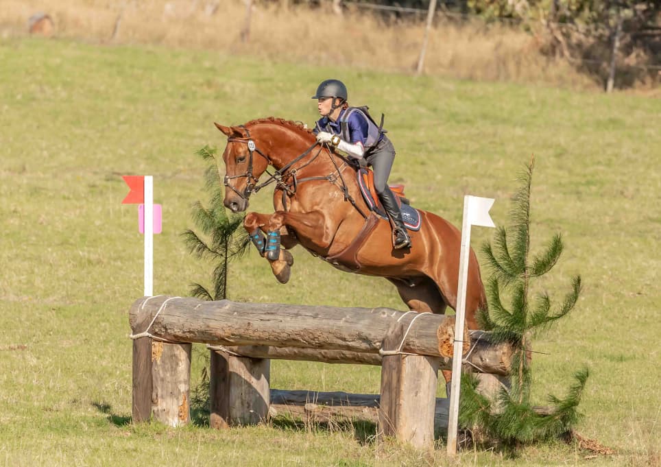 0314: Enya Crockford - The Horses' Welfare Should Be Your Main Concern If You Are Working With Horses cover art