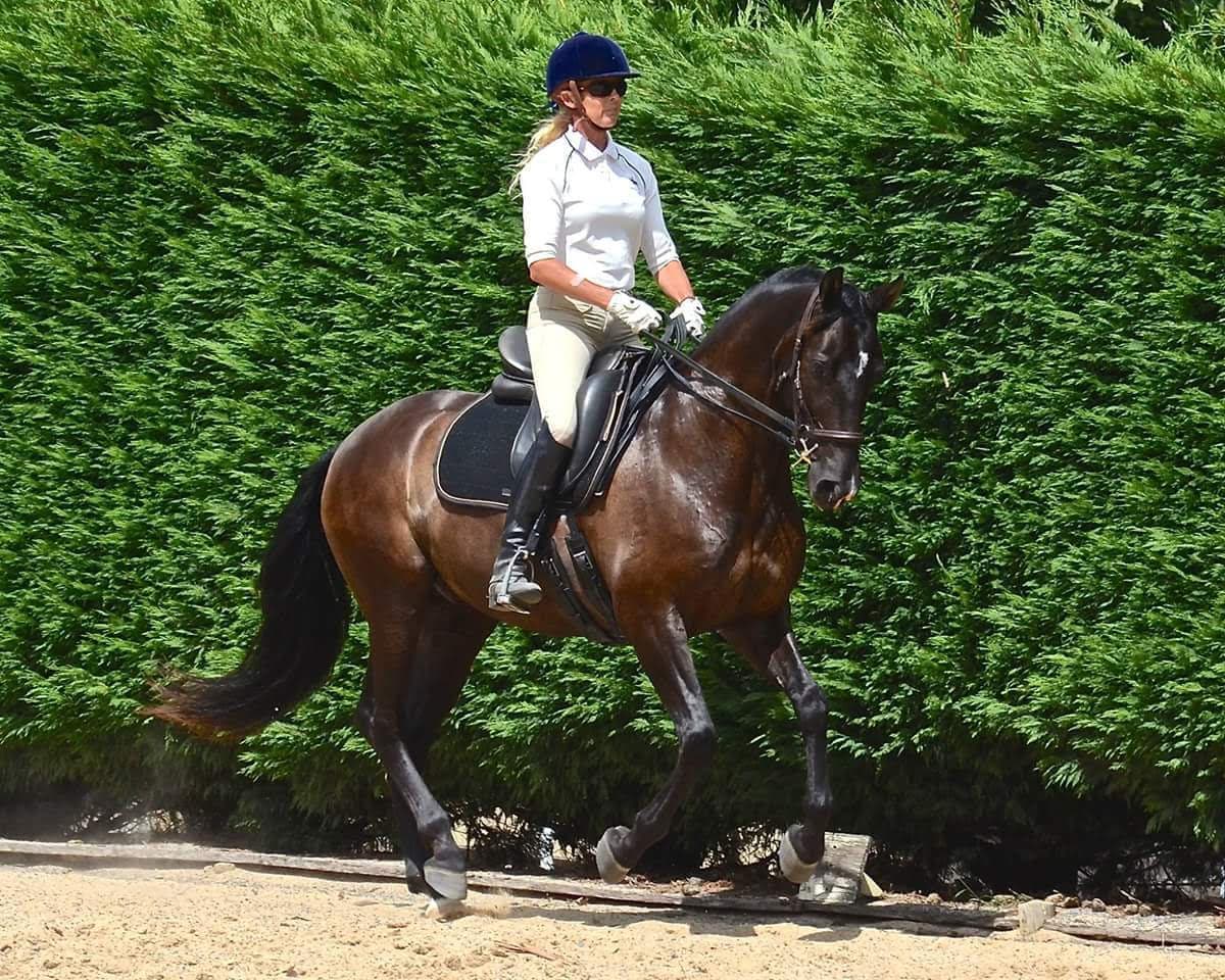 0396: Tracy Stead - Management Skills For Equine Business Owners cover art