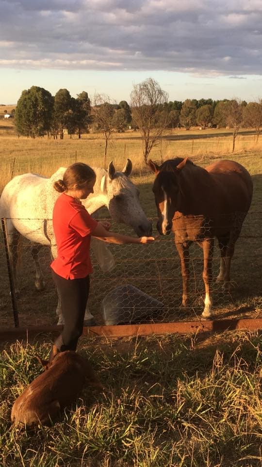 0405: Sophie Emerson - Pros and Cons of Starting a Riding School cover art