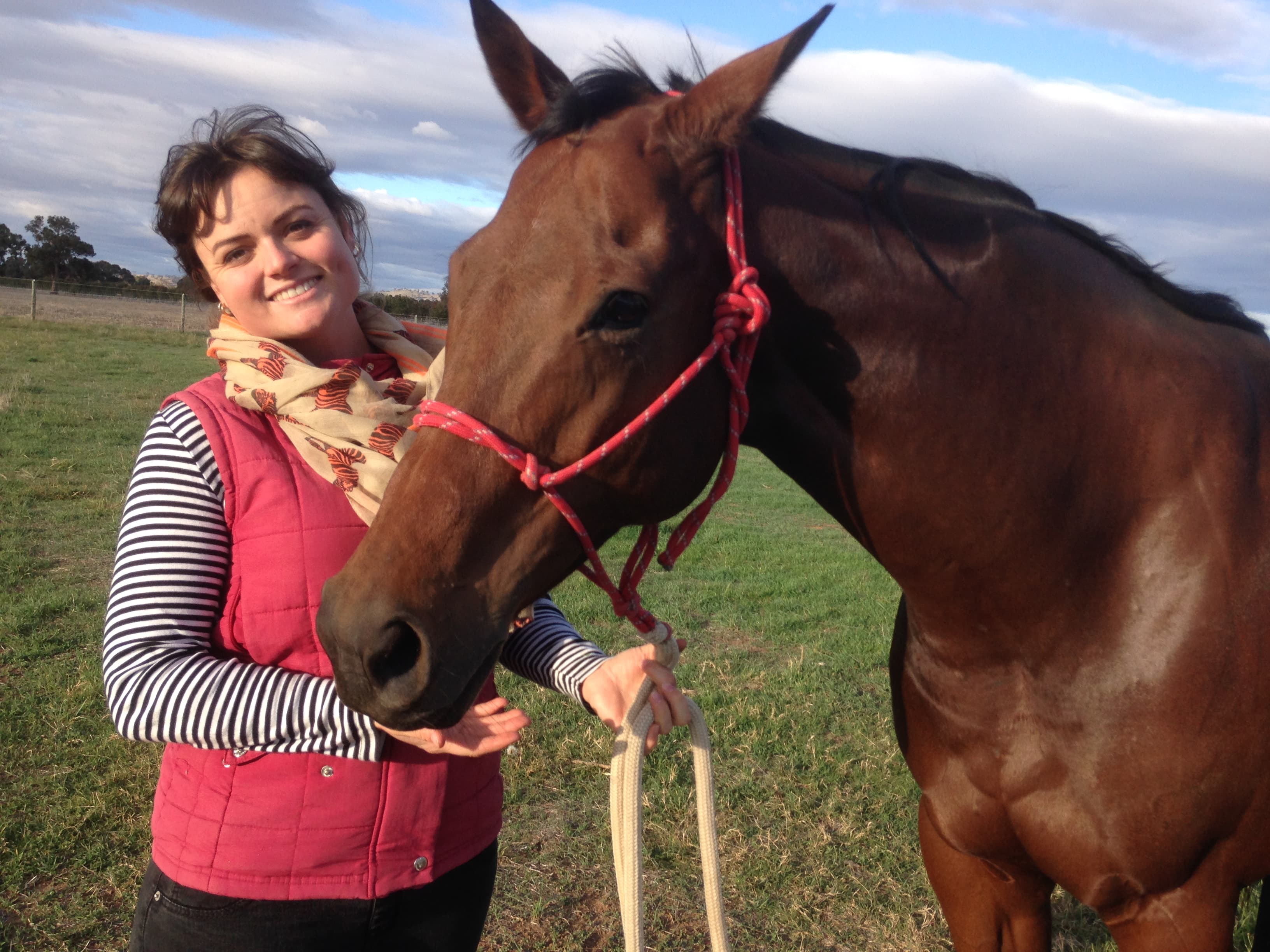 0355: Claudia Macleay - Obesity In Horses Is More Common Than We Think cover art