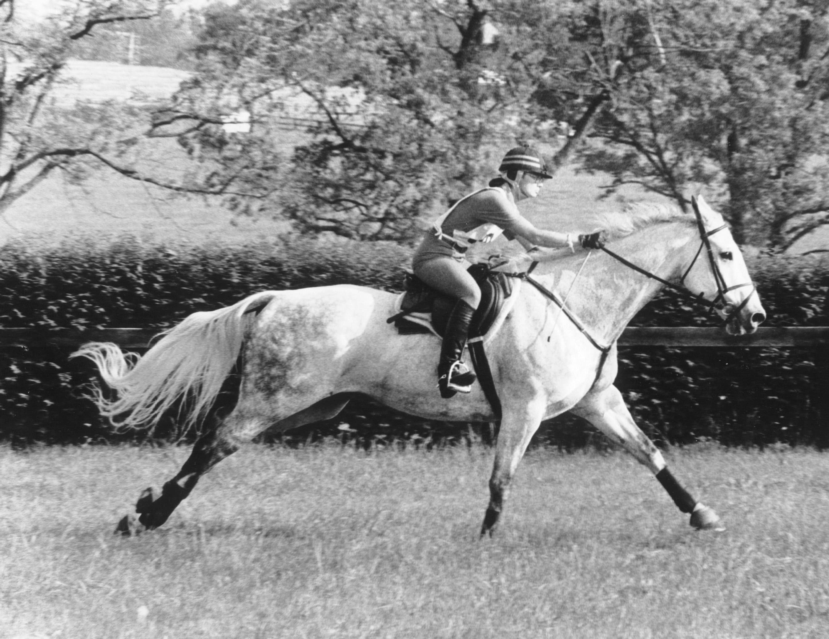 0458: Kim Walnes - From Dreaming to Riding At The World Three Day Event Championships for US Equestrian Team cover art