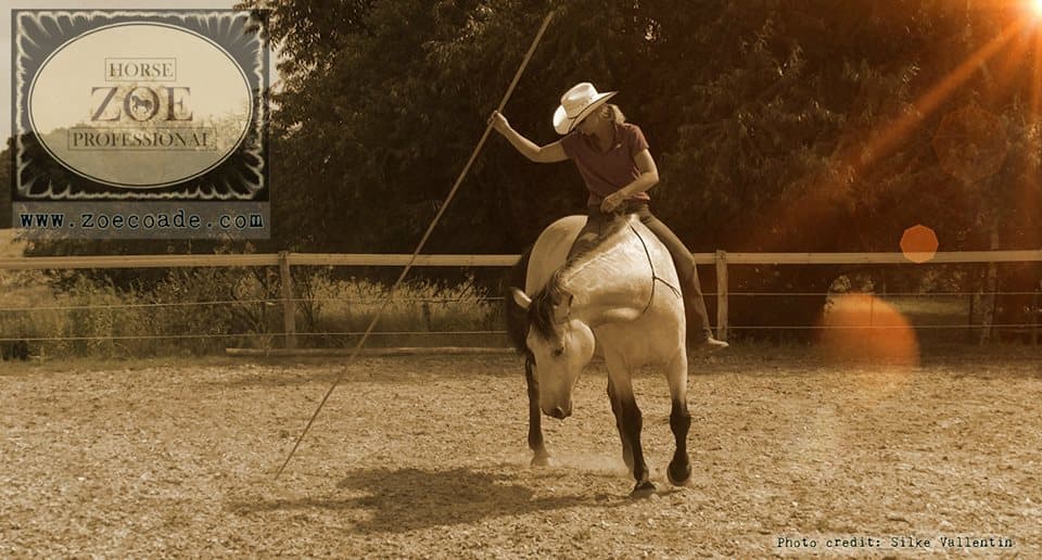 0446: Zoe Coade - Equine Career Pathway as Horse Professional, Trainer, Author and Now Movie Star cover art