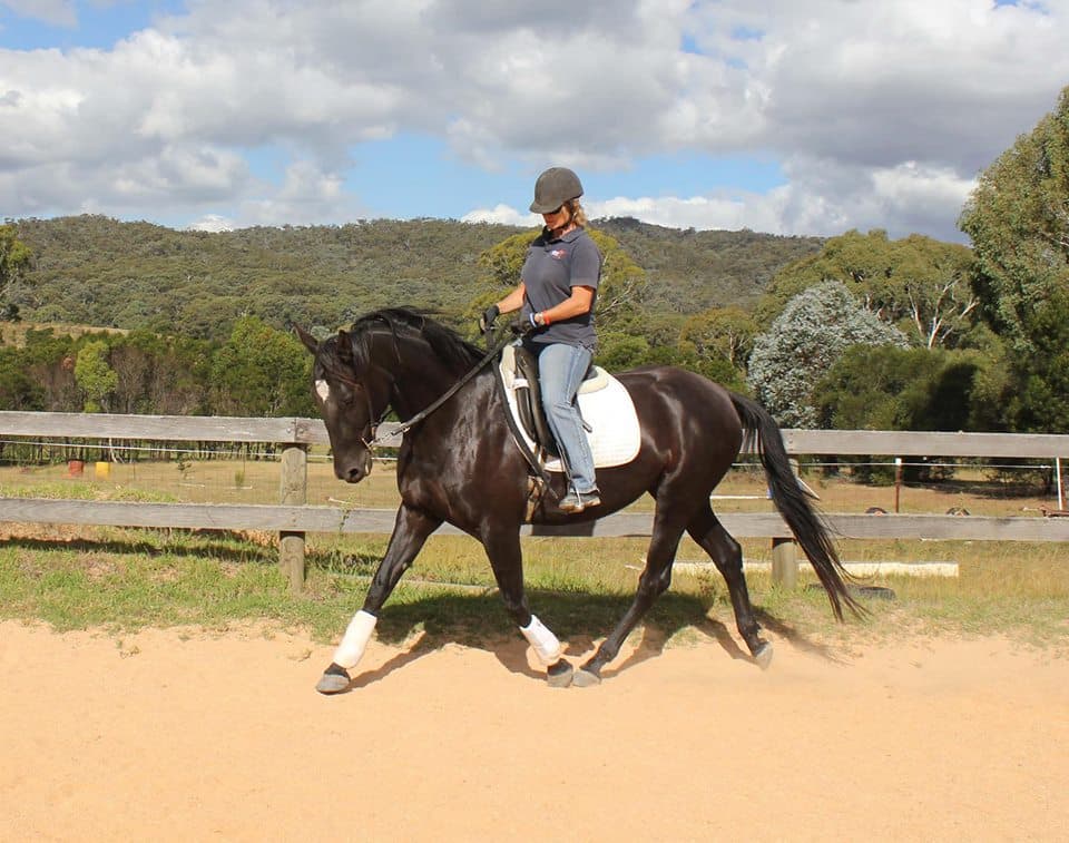 0881: Kate Fenner 2 LC - "Ten Steps To Bringing Your Horse Back to Work" (Listeners' Choice) cover art