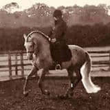 0280: Janice Usherwood - Contact Is What The Horse Takes When The Rider Drives It Forward From The Hand - FEI Rule Book cover art