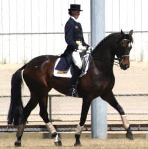 0184: Judy Peel LC - Straightness in the Horse is Very Important and Also Very Difficult To Achieve cover art