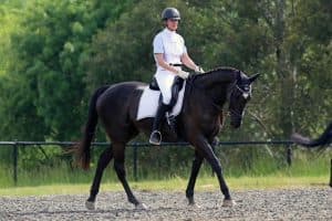 0196: Claire Harper - It Is Not Just About The Competition, It Is About The Bond With The Horse As Well cover art