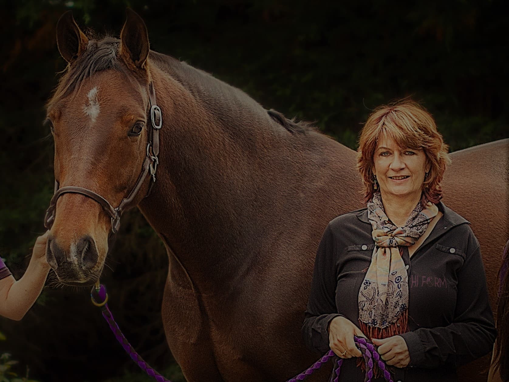 0365: Antoinette Foster LC - Equine Nutritional Therapist Discusses the Ideal Diet For Horses cover art