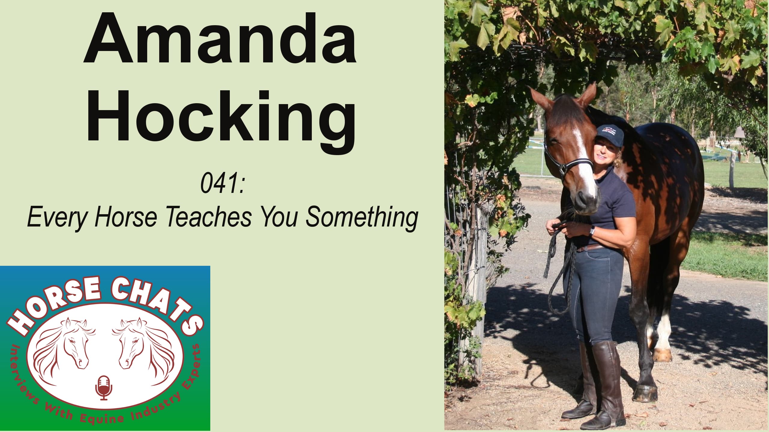 0041: Amanda Hocking - Every Horse Teaches You Something cover art