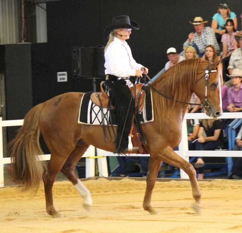 0243: Linda Shore - Grand Prix Dressage Rider Discusses Western Dressage cover art