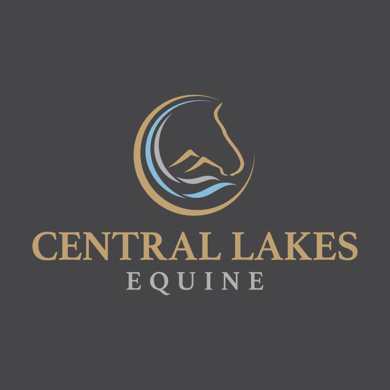 0603: Becci Ireland - When You Are Making A Decision About Your Horse, Ask Yourself 'Why' cover art