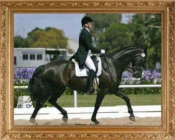 0289: Kirsten Beard-Adams LC - Using Saddle Fitting and Acupuncture for a Holistic Approach cover art