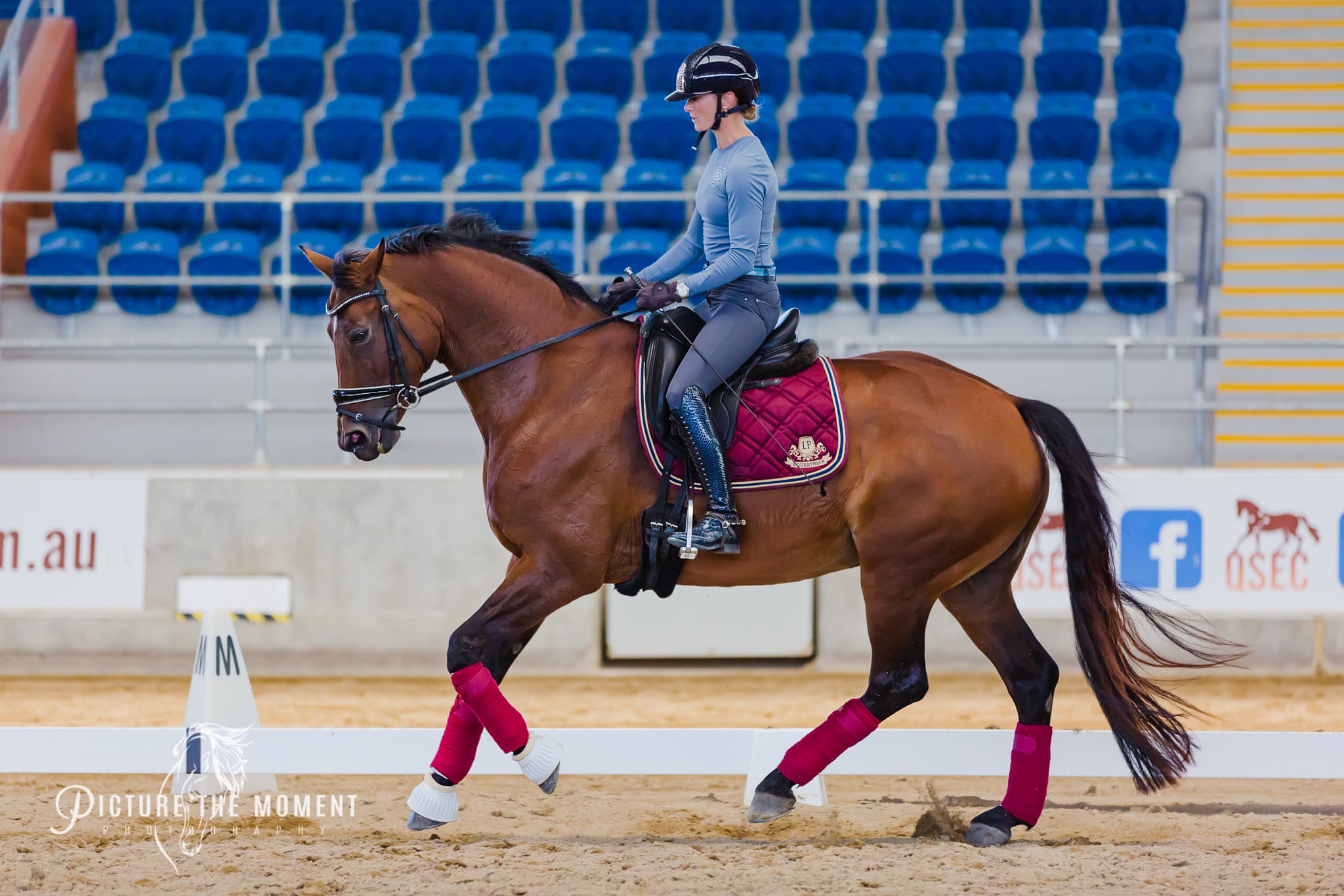 0456: Danielle Keogh LC - Using Physiotherapy To Improve Rider Position As Well as Lower Back and Pelvic Pain (Listeners' Choice) cover art