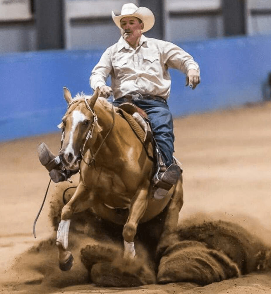 0229: David Simons - My Biggest Challenge Has Been Built Battling Depression and I Am Happy That I Have Had Horses To Overcome This cover art