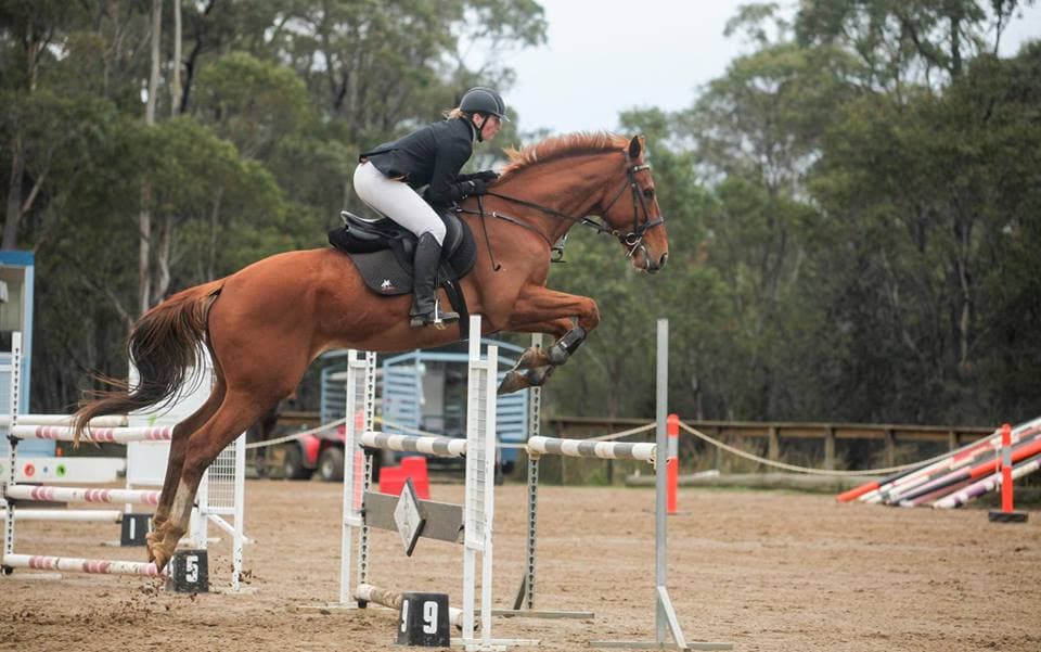 0336: Darlene Svamvur 2 - Ten Things to Consider When Travelling Horses cover art