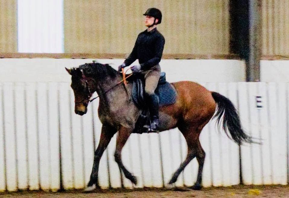 0790: Brendan Bergin 10 - Understanding Run/Flight Response in a Confused Horse cover art