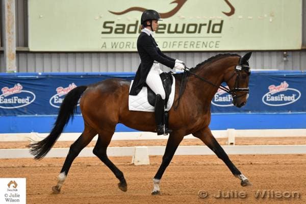 0347: Emily O'Connell 2 - Ten Ways to Ensure Positive Training Sessions for Both Horses and Human cover art