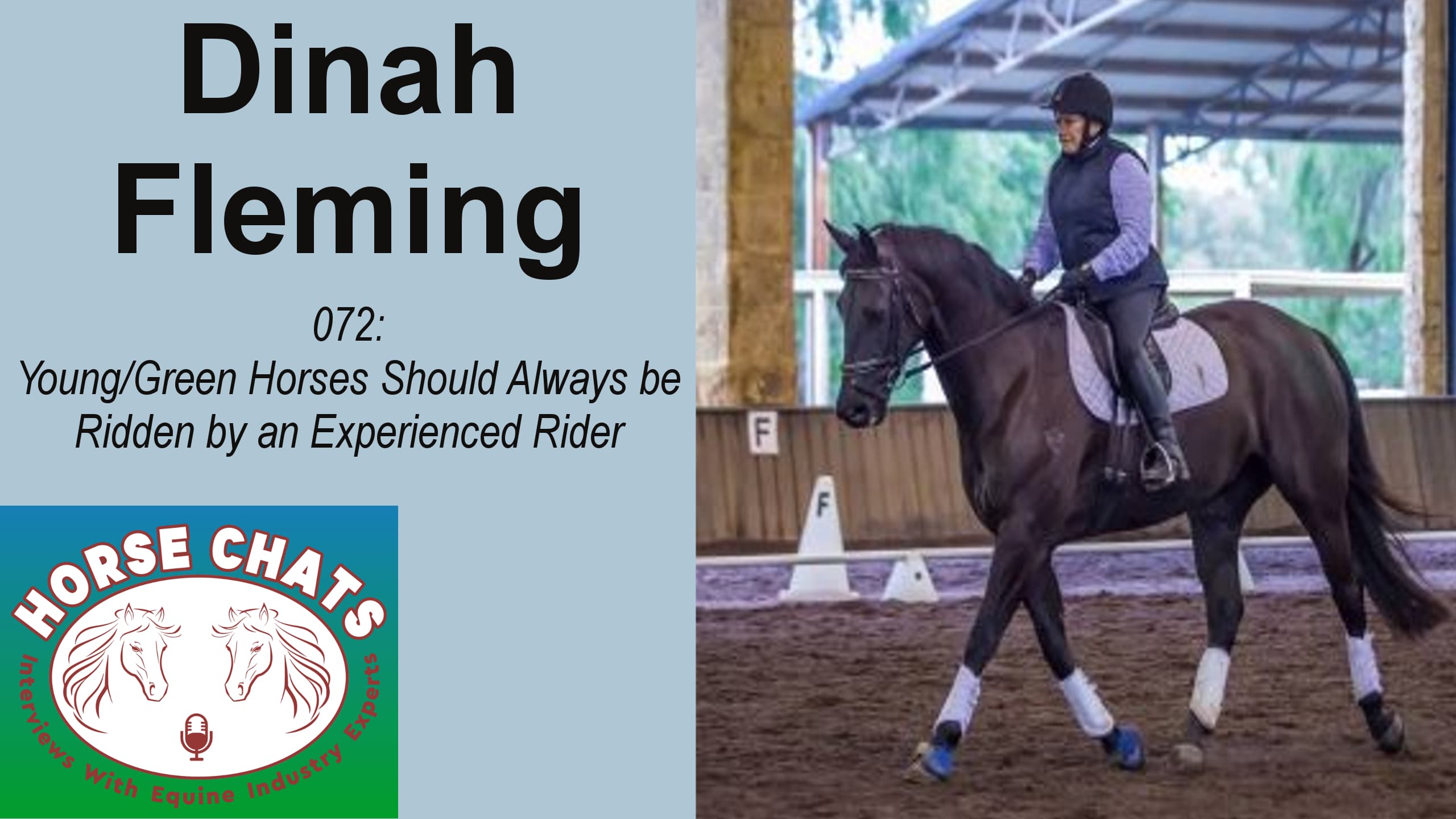 0072: Dinah Fleming - Young/Green Horses Should Always be Ridden by an Experienced Rider cover art