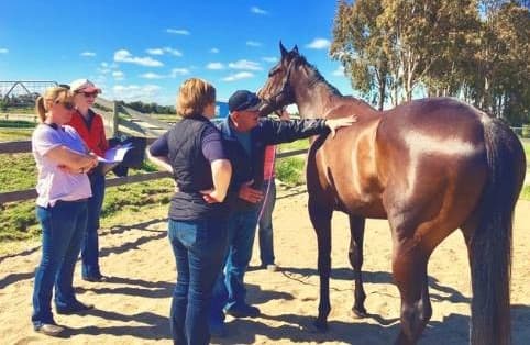 0869: Animal Biomechanical Medicine LC - Veterinary, Chiropractic and Osteopathic Professionals  (Listeners' Choice) cover art
