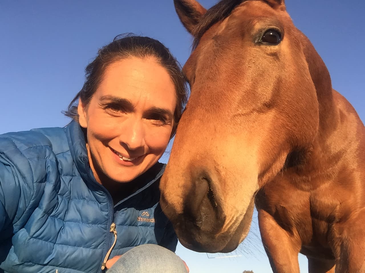 0434: Dr Nerida Richards 2 - "Top Ten Tips For Off The Track Thoroughbreds" cover art